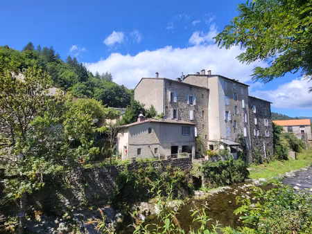 vente maison 12 pieces saint andre de valborgne