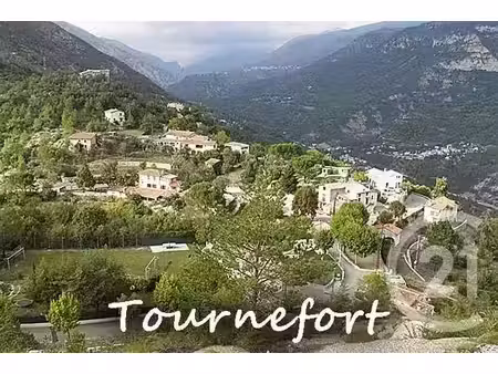 terrain à vendre - 6897 m2 - tournefort - 06 - provence-alpes-cote-d-azur