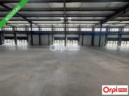 trollat & chanove immobilier