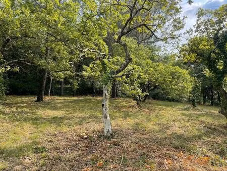 terrain constructible viabilisé à vendre