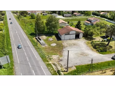 local d'activite a louer