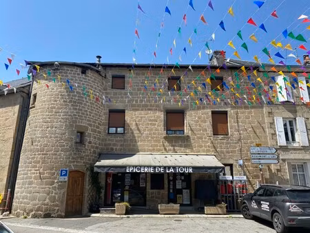 très belle maison en pierre entièrement rénovée