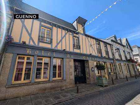 vente bureaux et commerces à châteaugiron (35410) : à vendre / 57m² châteaugiron