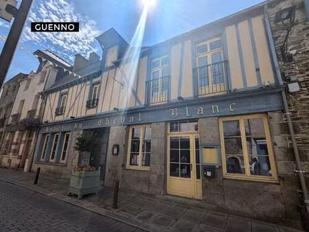 vente bureaux et commerces à châteaugiron (35410) : à vendre / 98m² châteaugiron