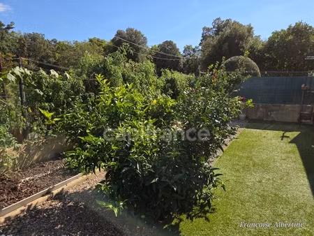 maison à vendre 3 pièces - jardin - terrasse - santa maria poggio - proche des plages (hau