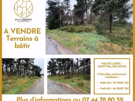 achat terrain 1 228m² st pal de mons 43620