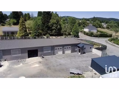 vente commerce 413 m² meymac (19250)