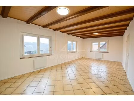 -- spacieux 3 pièces avec terrasse de 55m² --