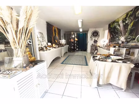 vente maison 14 pièces 270 m² le grau-du-roi (30240)