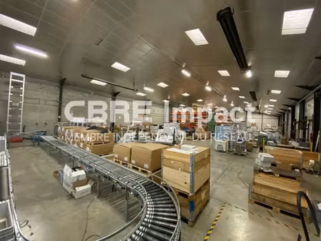 local d'activite - atelier a louer