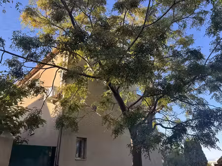 vente maison saleilles 66280 - - surface privée
