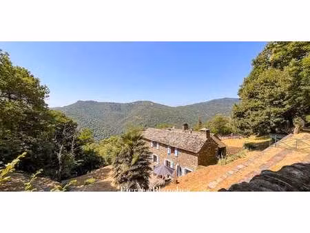 maison saint-germain-de-calberte (48)