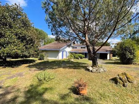 vente maison 7 pièces 216 m² pomarez (40360)