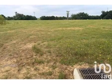 vente terrain à saint-sardos (82600) : à vendre / 442m² saint-sardos