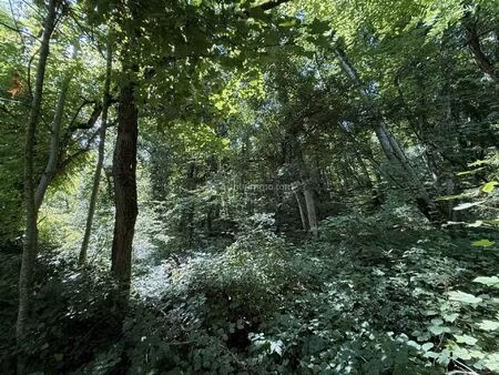 vente terrain 3550 m² bourmont-entre-meuse-et-mouzon (52150)