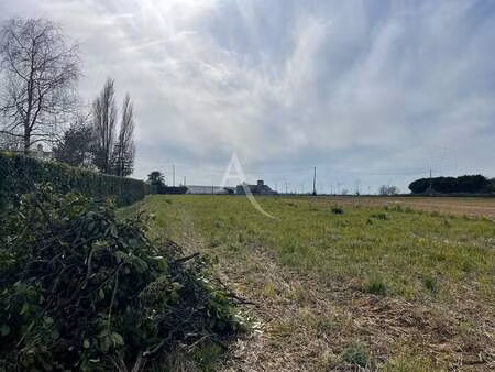 vente terrain à longèves (85200) : à vendre / 1956m² longèves