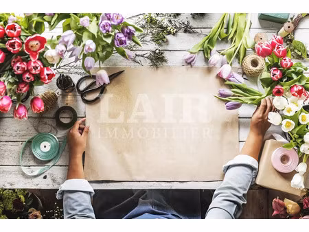 vente bureaux et commerces à mayenne (53100) : à vendre / 235m² mayenne