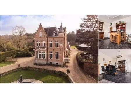 château à vendre à berlaarbaan 198 onze-lieve-vrouw-waver (rbu04864)