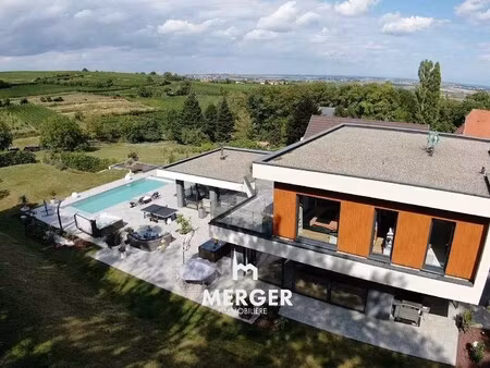 villa de luxe à vendre à nordheim