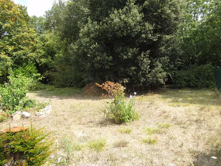 vente terrain  530.00m²  nieul