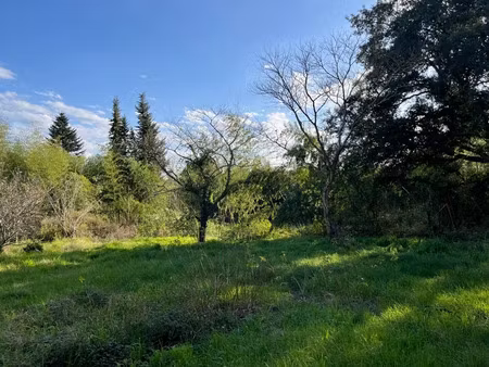 vente terrain 2500 m² à rion-des-landes (40370)  82 500 €