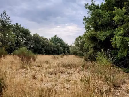 vente terrain 4198 m² à murs (84220)  130 000 €