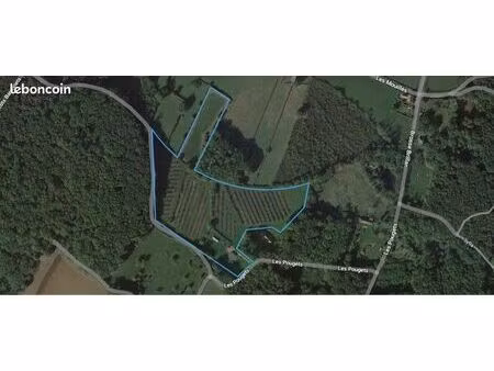 terrain et verger à louer