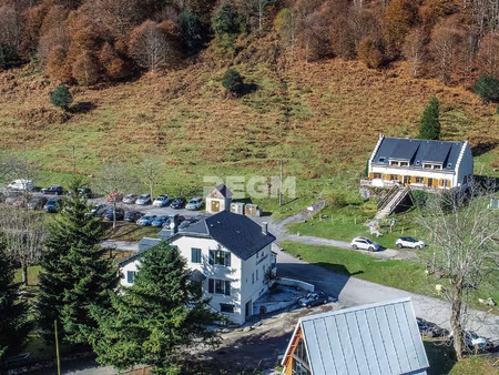 fonds decommerce et murs hotellerie restauration dans les p