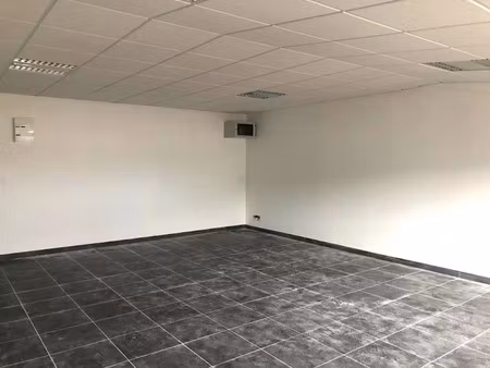 location locaux professionnels à ducos (97224)  905 €