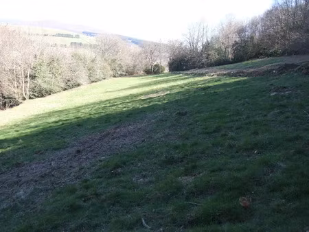 location terrain 15000 m² à mazamet (81200)  200 €