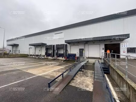 local d'activités à louer