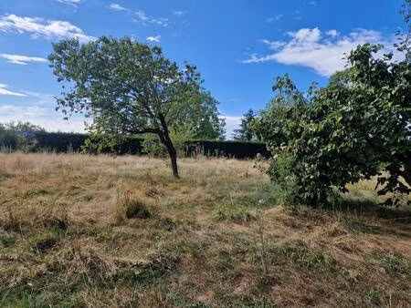 terrain constructible viabilisé à vendre