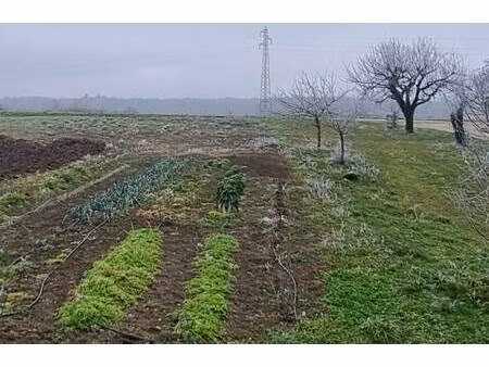 terrain constructible viabilisé à vendre