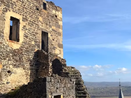 demeure à vendre 0 pièce 200 m² - le broc (63) - 56 000€