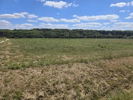 terrain 0 pièces 871 m² à vendre / acheter dampierre 39700 ? | era immobilier