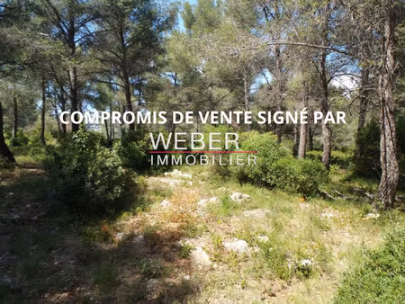 achat terrain 38 000m² ollioules 83190