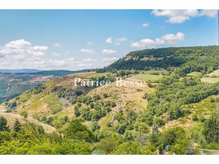 vente maison 12 pièces 170 m² à florac trois rivières (48400)  330 000 €