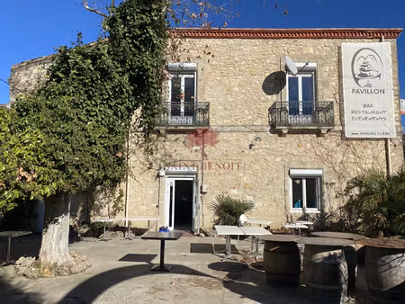 aniane location murs commerciaux