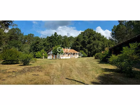 landaise à rénover  250m² d'annexes  3 chambres  2ha