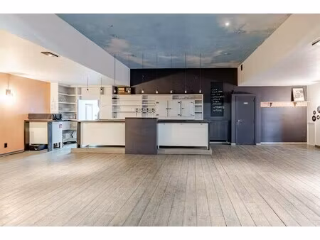 commercieel te koop in hamme