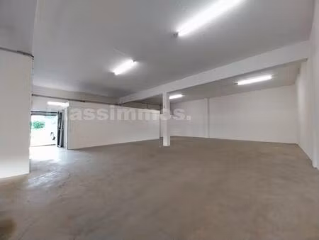 local professionnel avec entrepôt + bureaux + extérieur - idéal artisan / entreprise du bt