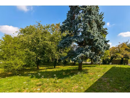 terrain à vendre à blandy - opportunité à saisir !