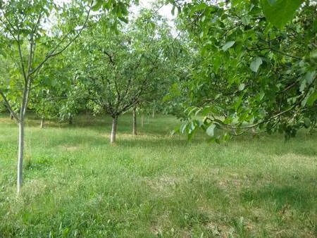 vente terrain 5957 m² alvignac (46500)