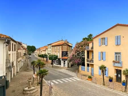 vente immeuble 264 m² saint-génis-des-fontaines (66740)