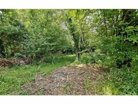 terrain varennes-jarcy m² t- à vendre  319 000 €