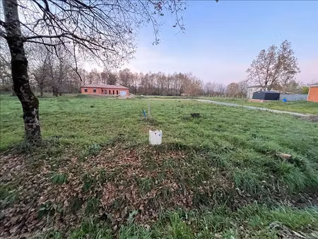 vente terrain à labastide-du-temple (82100)  53 000 €