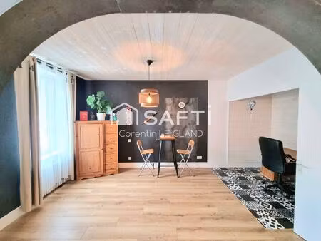 spécial investisseur / immeuble de rapport vendu loué