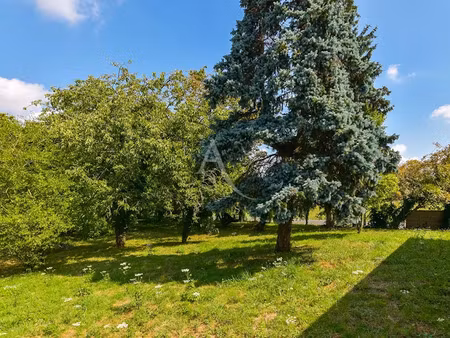 vente terrain 437 m² à blandy (77115)  99 900 €