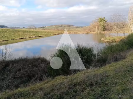 vente terrain 60760 m² à marigny (71300)  200 000 €