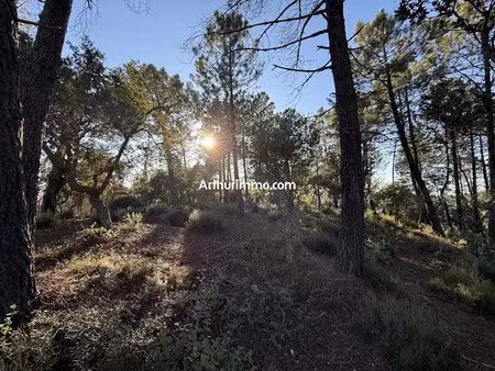 vente terrain à batir 1001 m² à vidauban (83550)  130 000 €